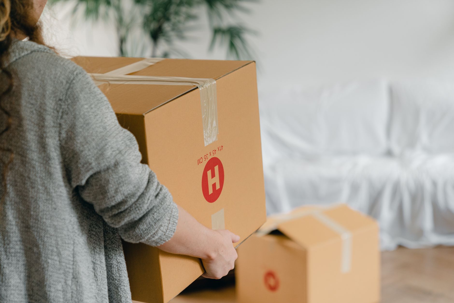 Back view of crop unrecognizable female in casual wear standing with square cardboard box in front of couch covered with crea